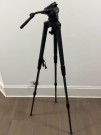 Lot 651