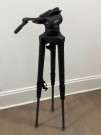 Lot 651