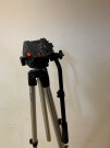 Lot 303